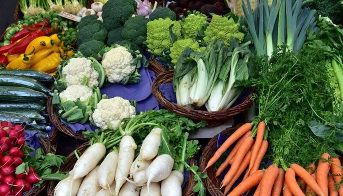 مواد غذایی ضد پیری و مناسب جوانسازی پوست را بشناسید