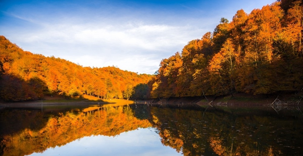 تصاویر| پاییز هزار رنگ جنگل‌های با شکوه مازندران
