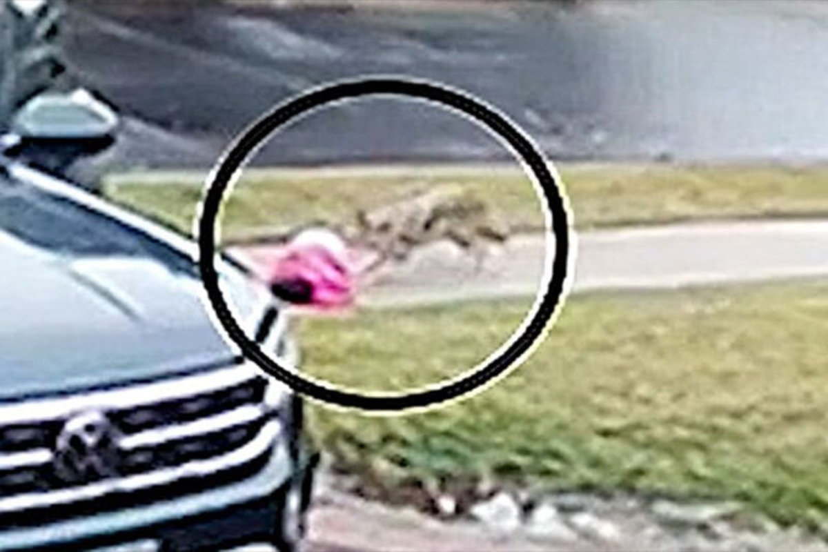 فیلم| لحظه ترسناک حمله گرگ به یک کودک در کنار ماشین پدرش