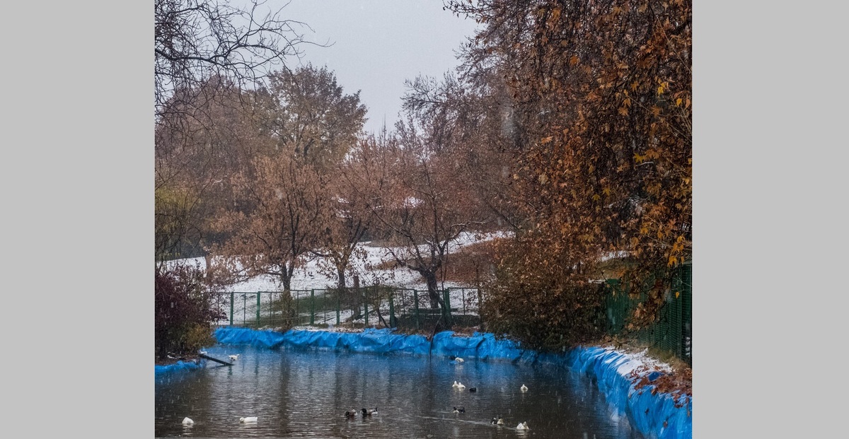 تصاویر| تهران، غرق برگ و برف