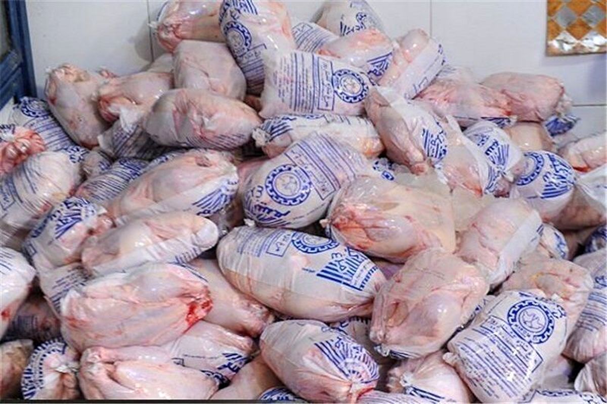 امکان صادرات مرغ با حذف عوارض صادراتی فراهم شد