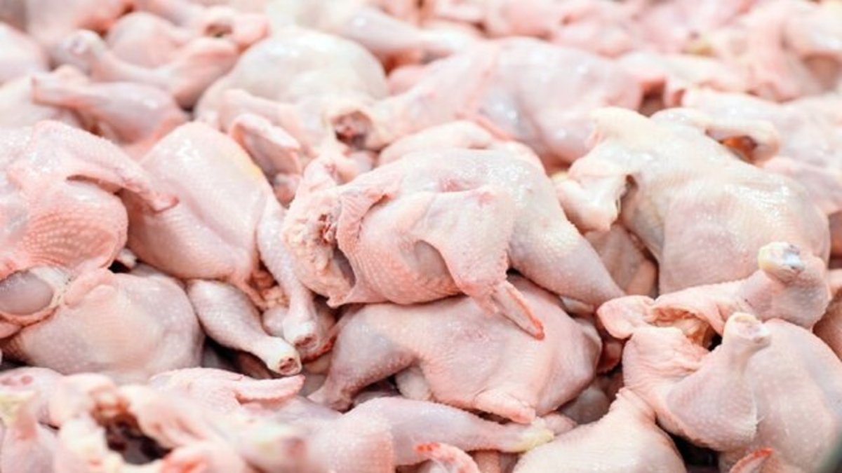 کاهش عرضه گوشت مرغ در بازار