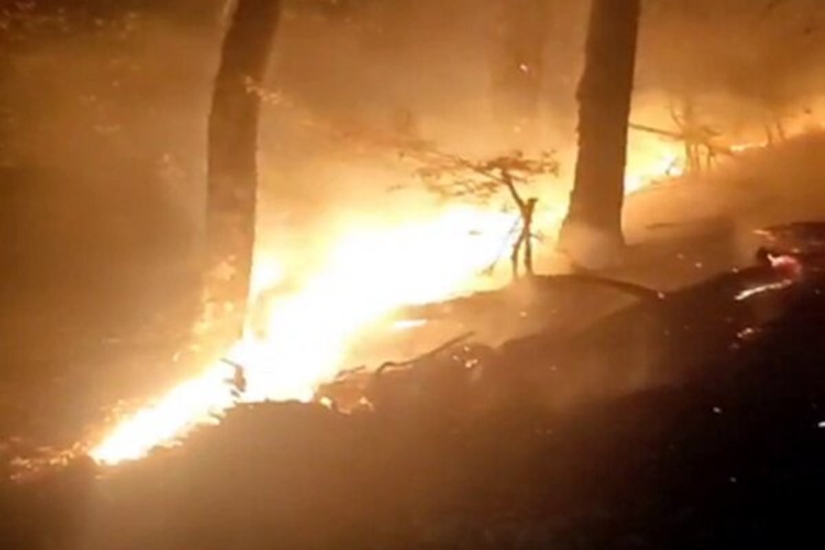 شعله ور شدن آتش در ۳۰ هکتار از اراضی جنگلی رودبار