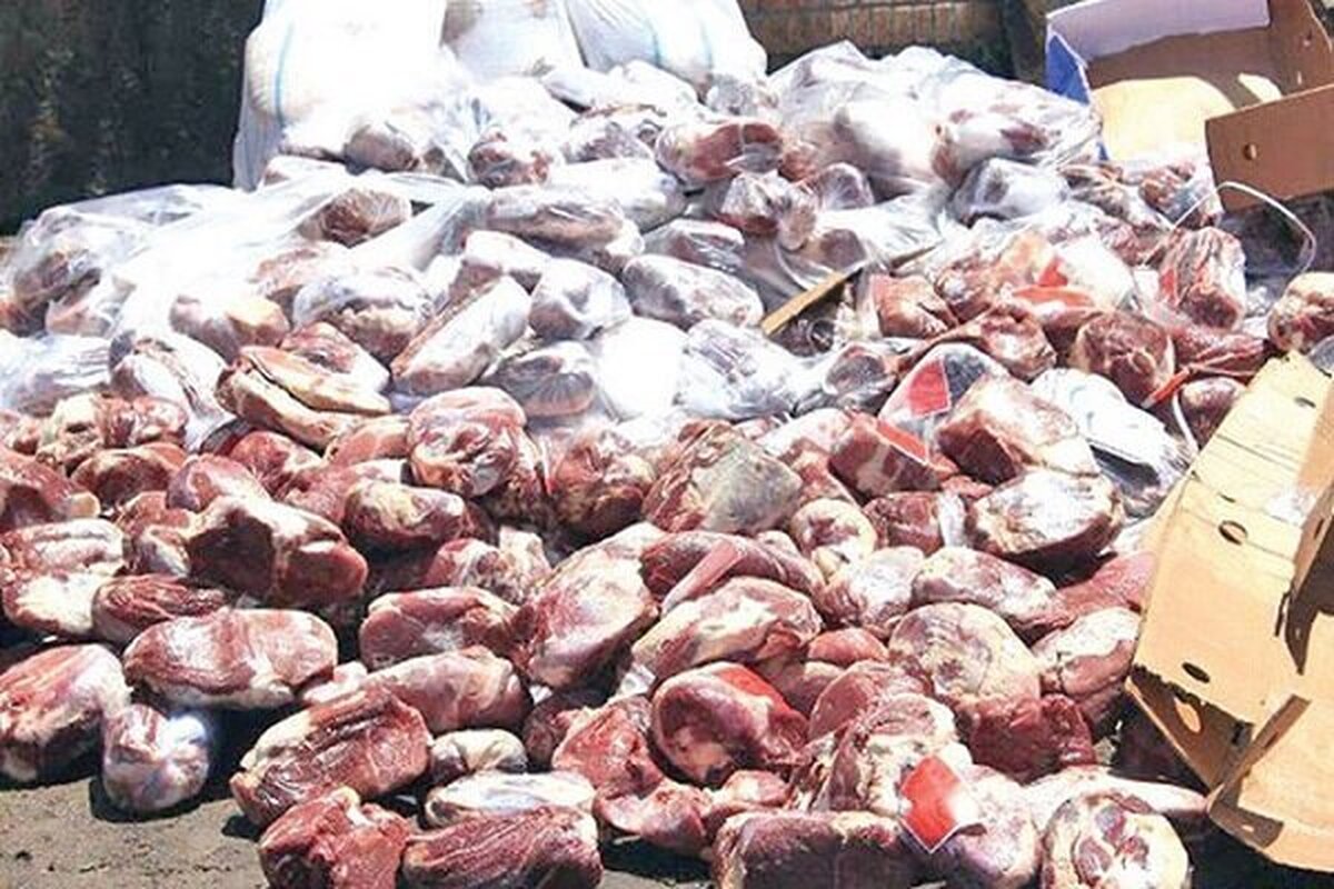 کشف گوشت فاسد از یک واحد پروتئینی در زنجان
