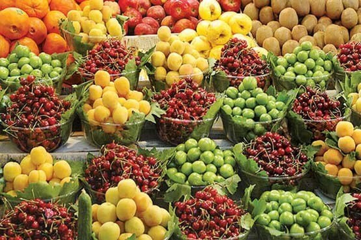 قیمت میوه‌های نوبرانه را تایید نمی‌کنیم/ سایه 