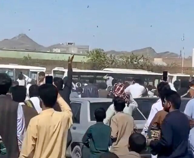 38 نفر از جان‌باختگان 8 مهر زاهدان شهید اعلام شدند