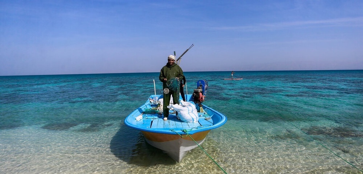 تصاویر| جزیره «مارو» ناشناخته‌ای زیبا در دل خلیج فارس