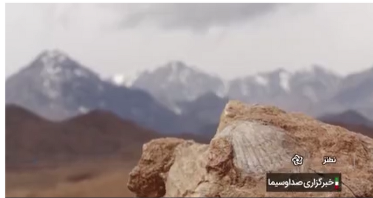 فیلم| کشف فسیل‌های ۴۰ میلیون ساله در نطنز
