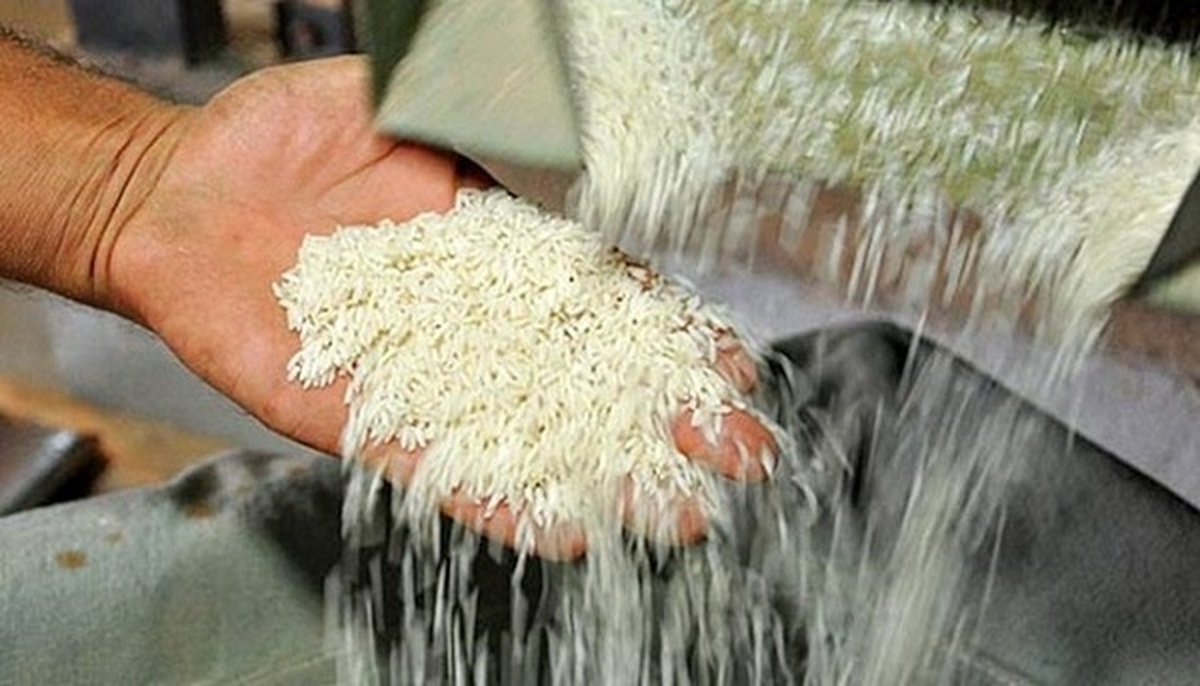 بیش از ۵۰ درصد برنج سال گذشته فروش نرفته/ رکود در بازار برنج ادامه دارد