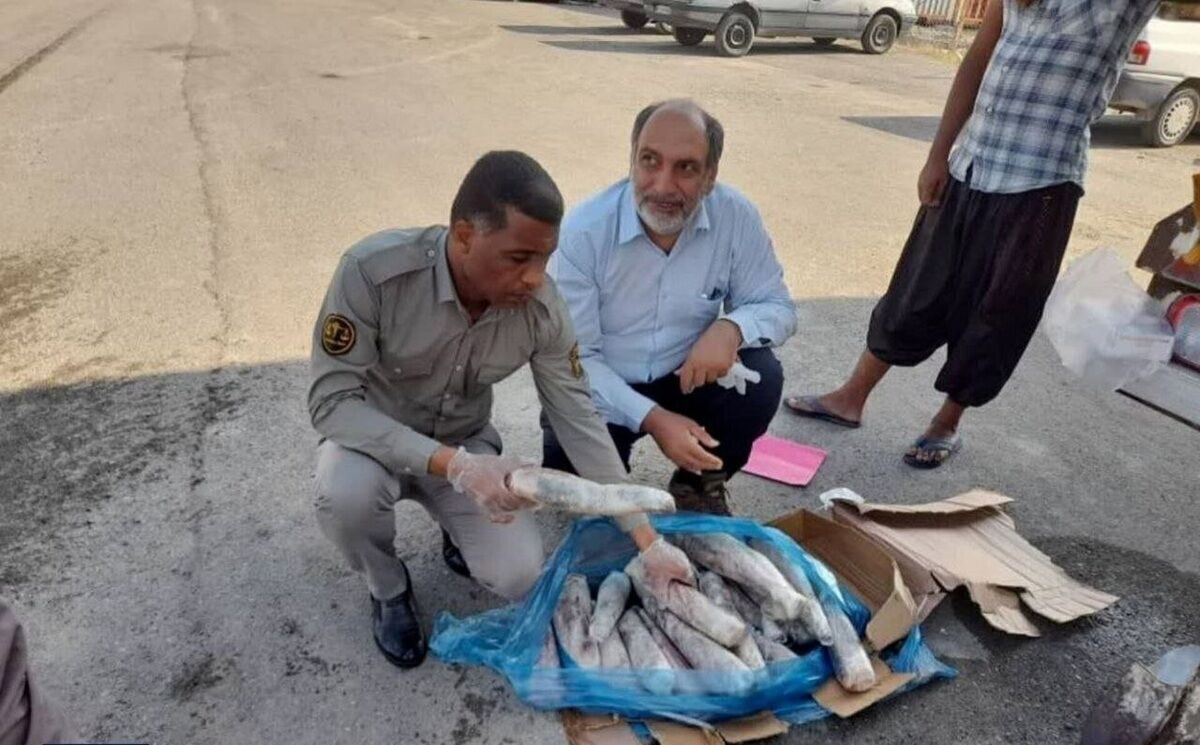 ماجرای کشف محموله ۵ تنی 