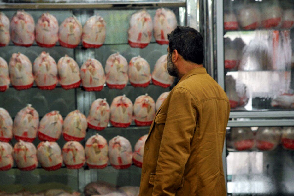 قیمت مرغ در بوشهر پرواز کرد