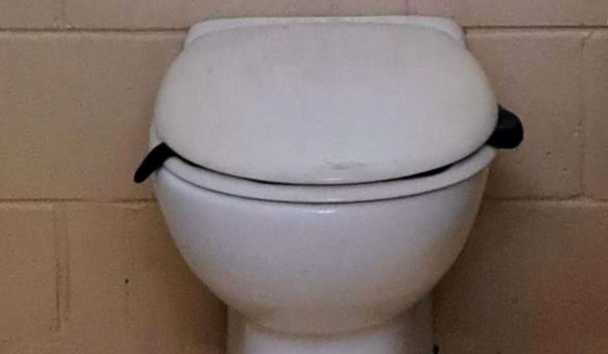 فیلم| بیرون کشیدن یک مار سمی از توالت فرنگی