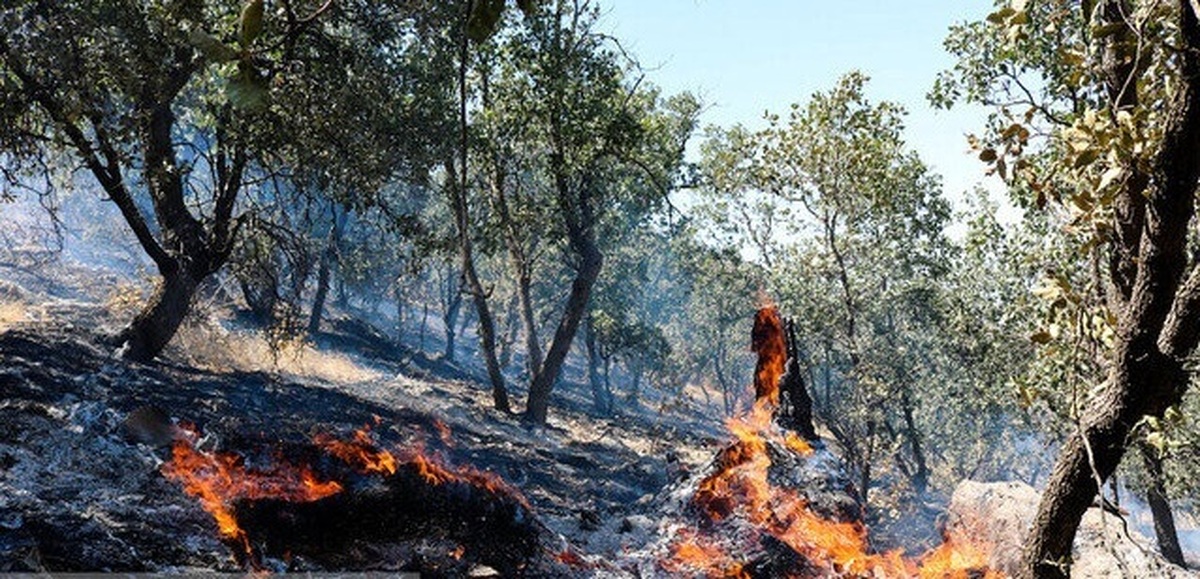 ۶ هکتار از جنگل‌های سراوان سوخت/ عامل آتش‌سوزی، انسانی بود