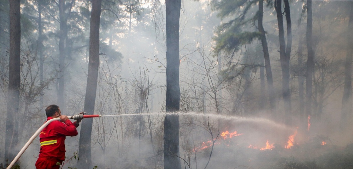 تصاویر| آتش سوزی در جنگل های سراوان