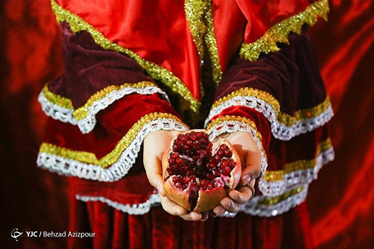 تصاویر| برداشت یاقوت سرخ در تبریز و شیراز