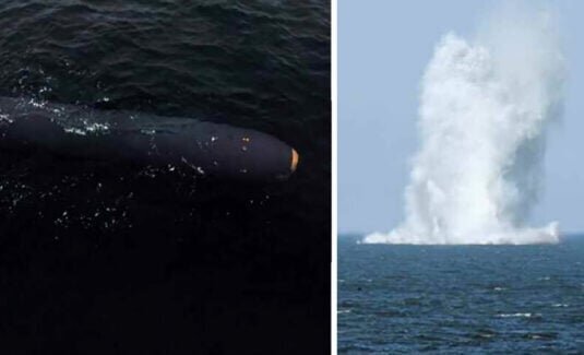 عکس| پهپاد اتمی کره شمالی سونامی به پا می‌کند