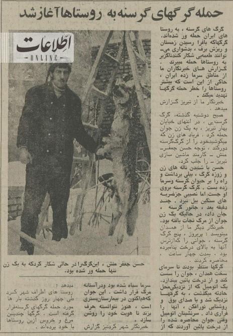 عکس| این مرد با شکار گرگ گرسنه، زن جوان را نجات داد