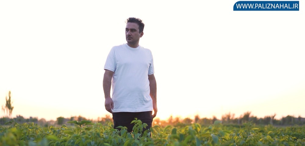 راهنمایی برای خرید نهال: چگونه بهترین نهال را انتخاب کنیم؟