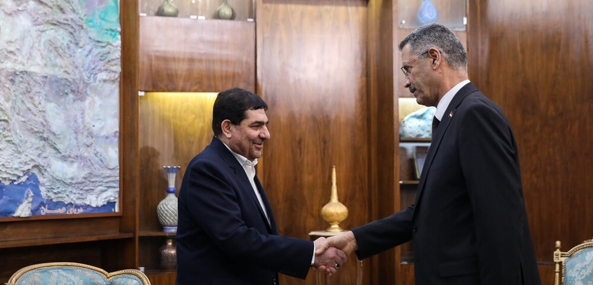 تصاویر| دیدار وزیر نفت عراق با معاون اول رئیس جمهور