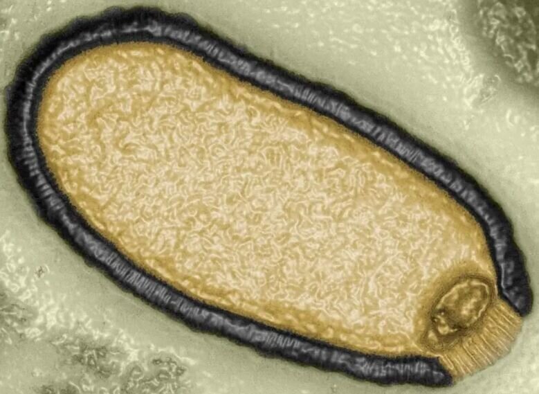 دایناسور‌ها برمی‌گردند؟