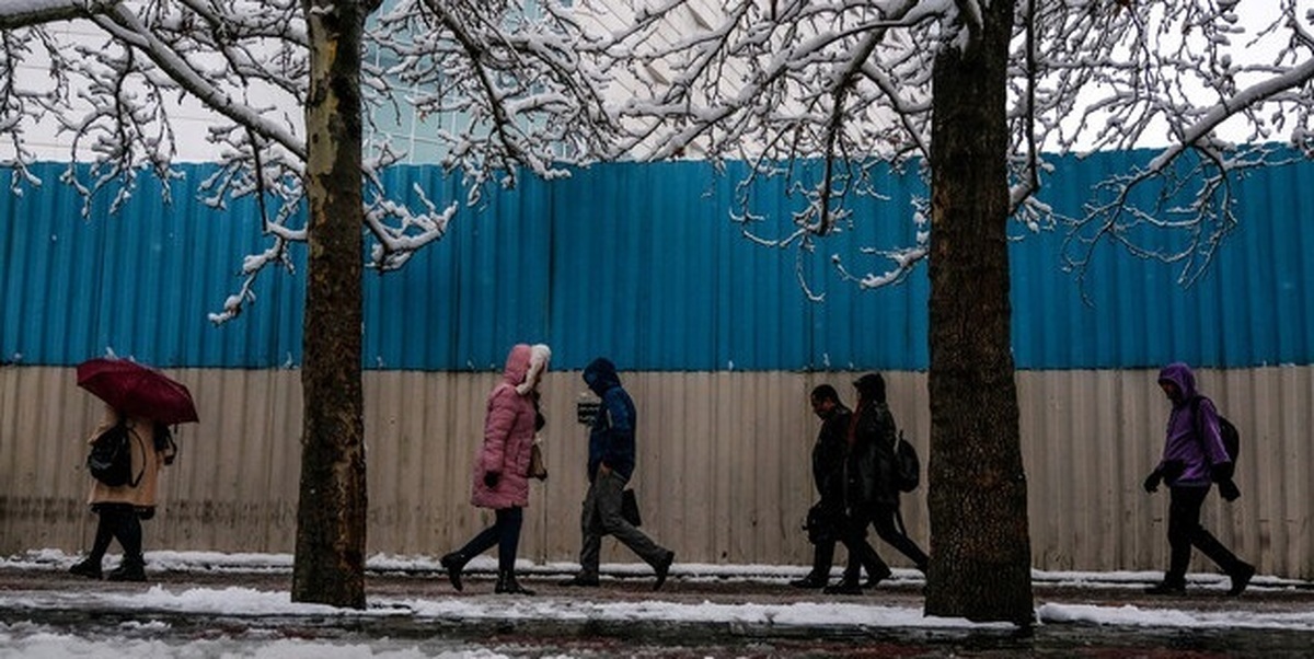 هشدار نارنجی هواشناسی برای تهران؛ احتمال یخ‌زدگی سطح زمین و خطر شکستن درختان کهنسال