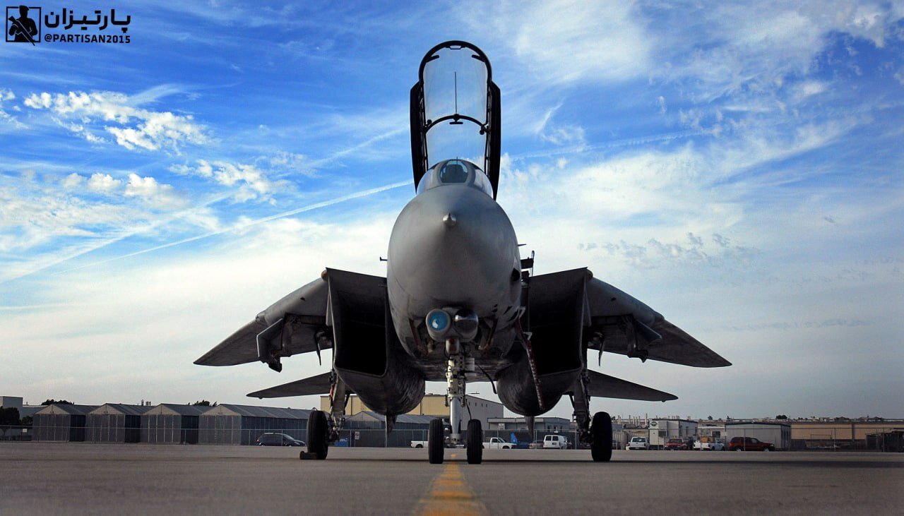 عکس| چشم عقاب روی جنگنده اف ۱۴