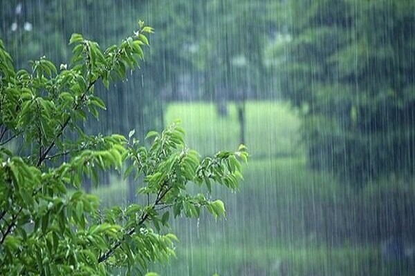 هواشناسی ۲۴ بهمن ۱۴۰۲/ ورود سامانه بارشی به کشور طی فردا