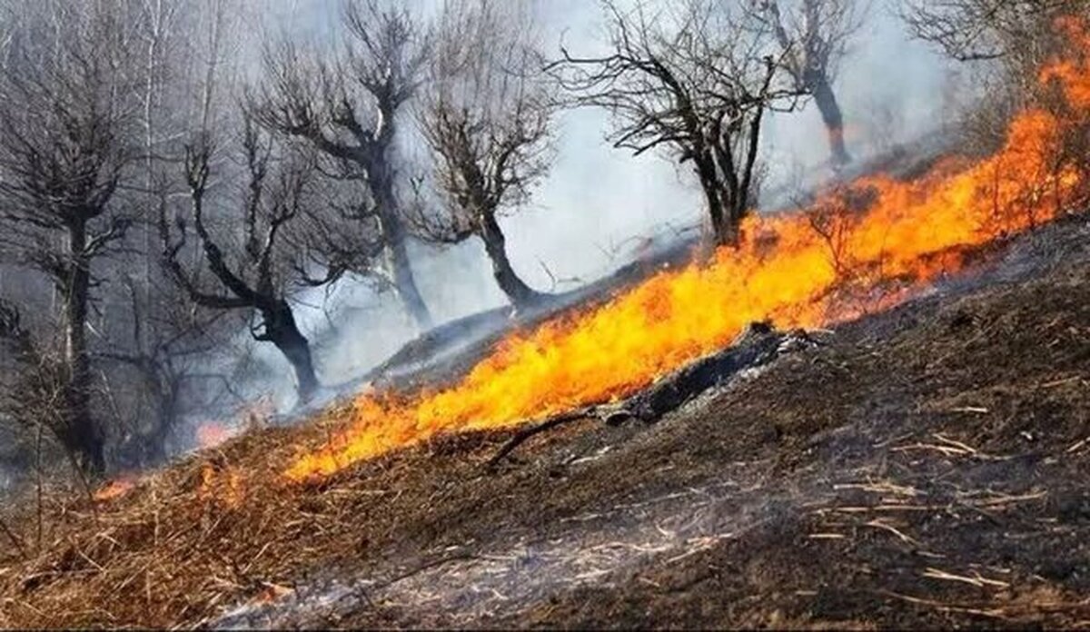 آتش سوزی در نمک آبرود مهار شد