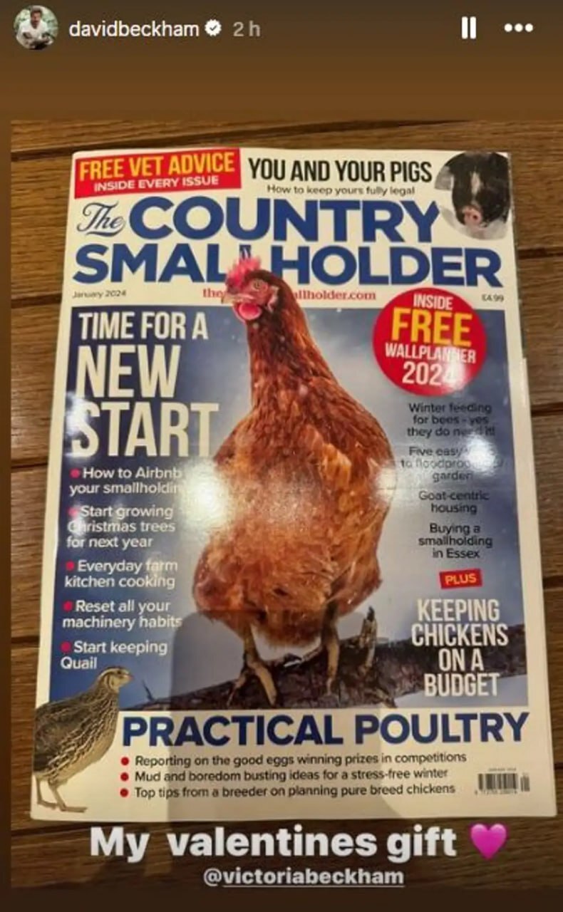 عکس| هدیه ولنتاین ویکتوریا به دیوید بکهام