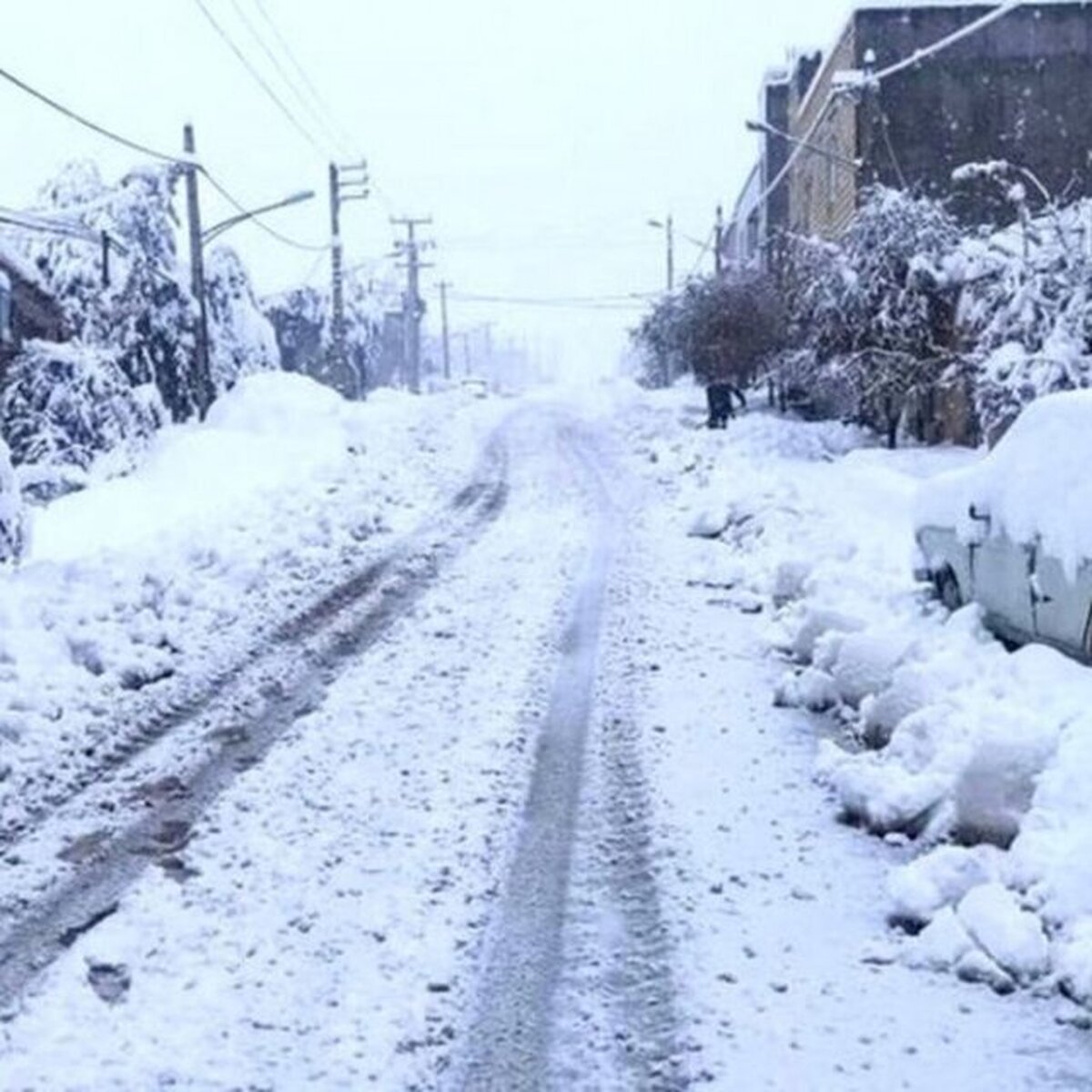 بارش سنگین برف، تردد در شهر اردبیل را مختل کرد