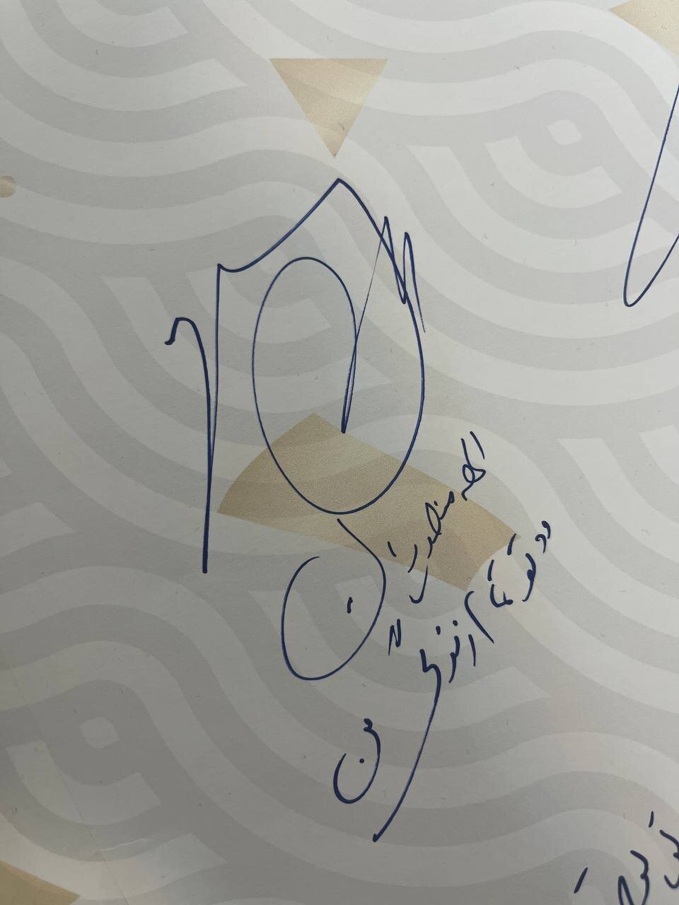 عکس| این عکس تمام زندگی الهه منصوریان است!