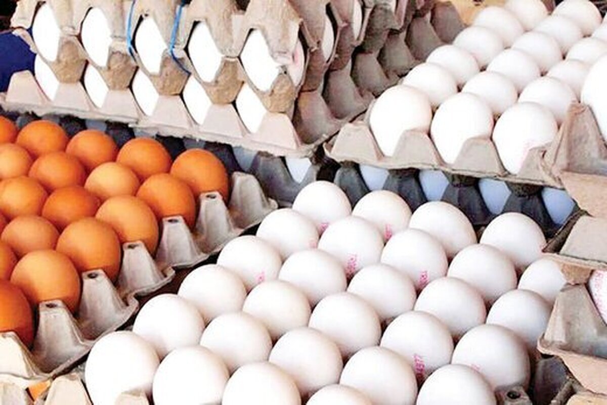 قیمت تخم مرغ در بازار امروز ۲۸ اسفند ۱۴۰۲