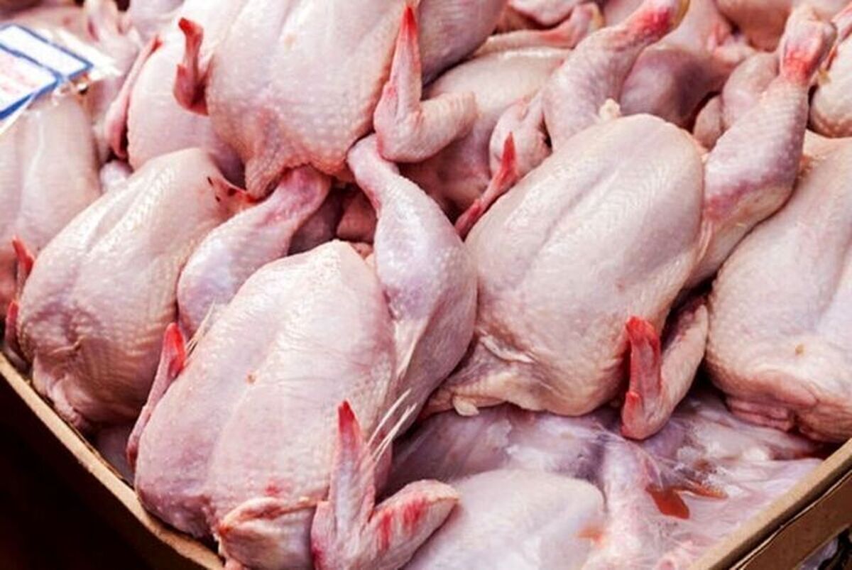 قیمت گوشت مرغ در بازار امروز ۲۸ اسفند ۱۴۰۲