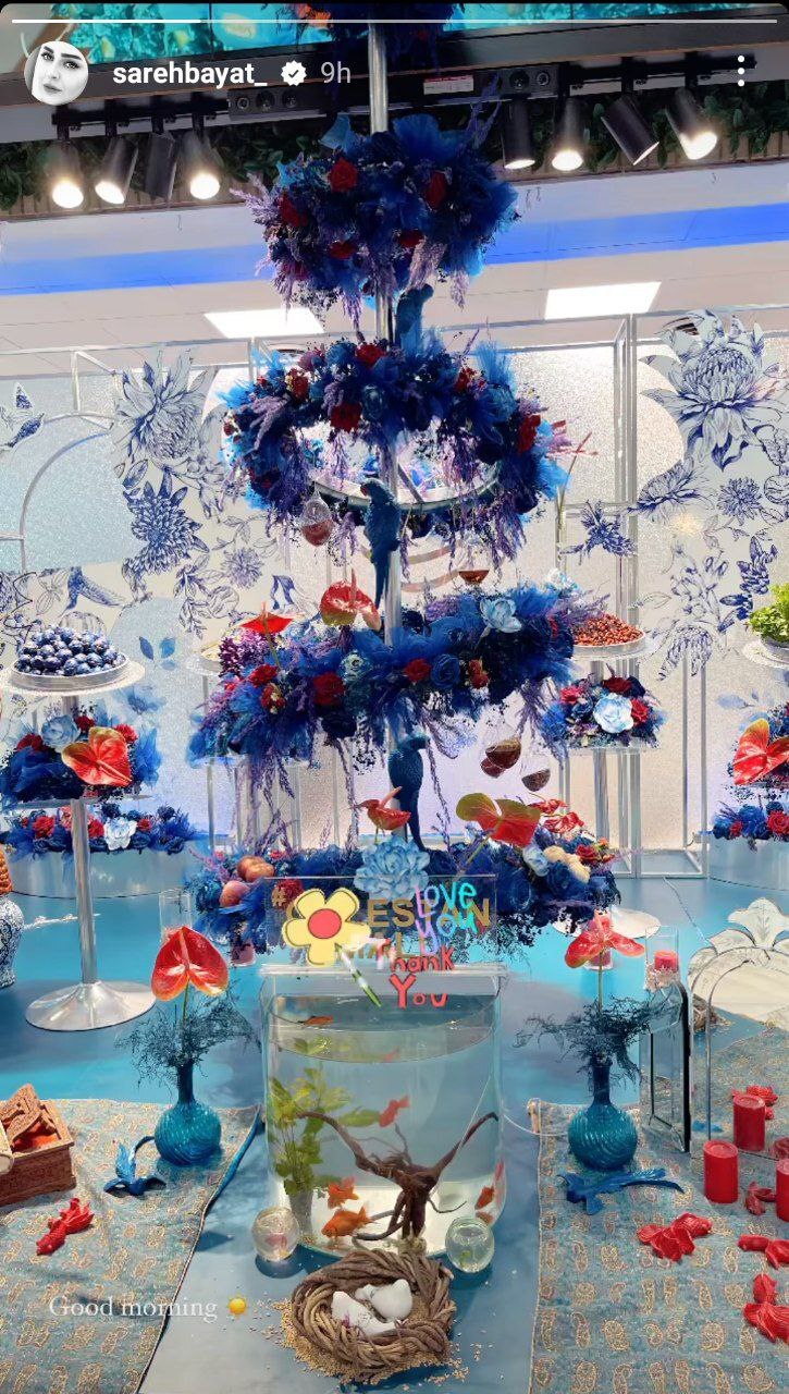 عکس| استوری جدید ساره بیات با حال و هوای بهار