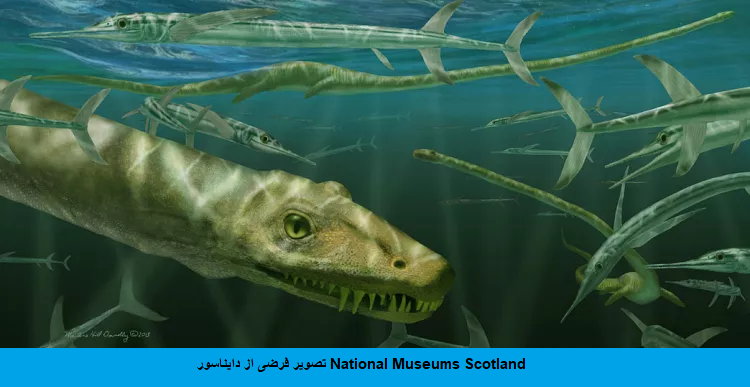 کشف فسیل ۲۴۰ میلیون ساله خزنده آبزی ملقب به «اژدها» در چین کشف فسیل ۲۴۰ میلیون ساله خزنده آبزی ملقب به «اژدها» در چین