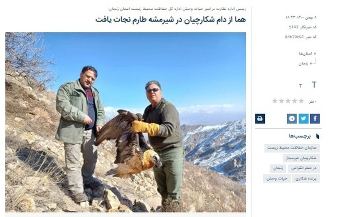 ماجرای شکار پرنده «همای سعادت» در طالقان