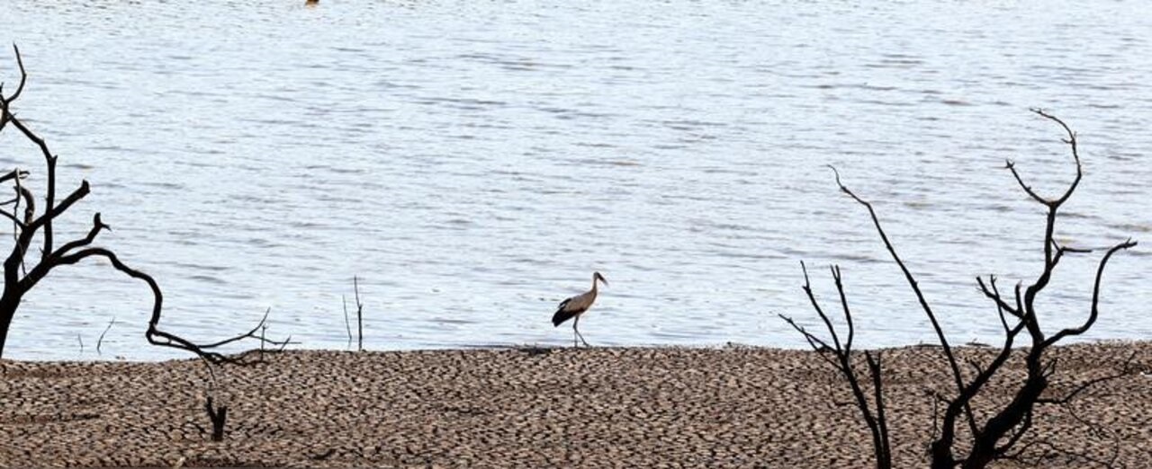تصاویر| خشکسالی در اسپانیا