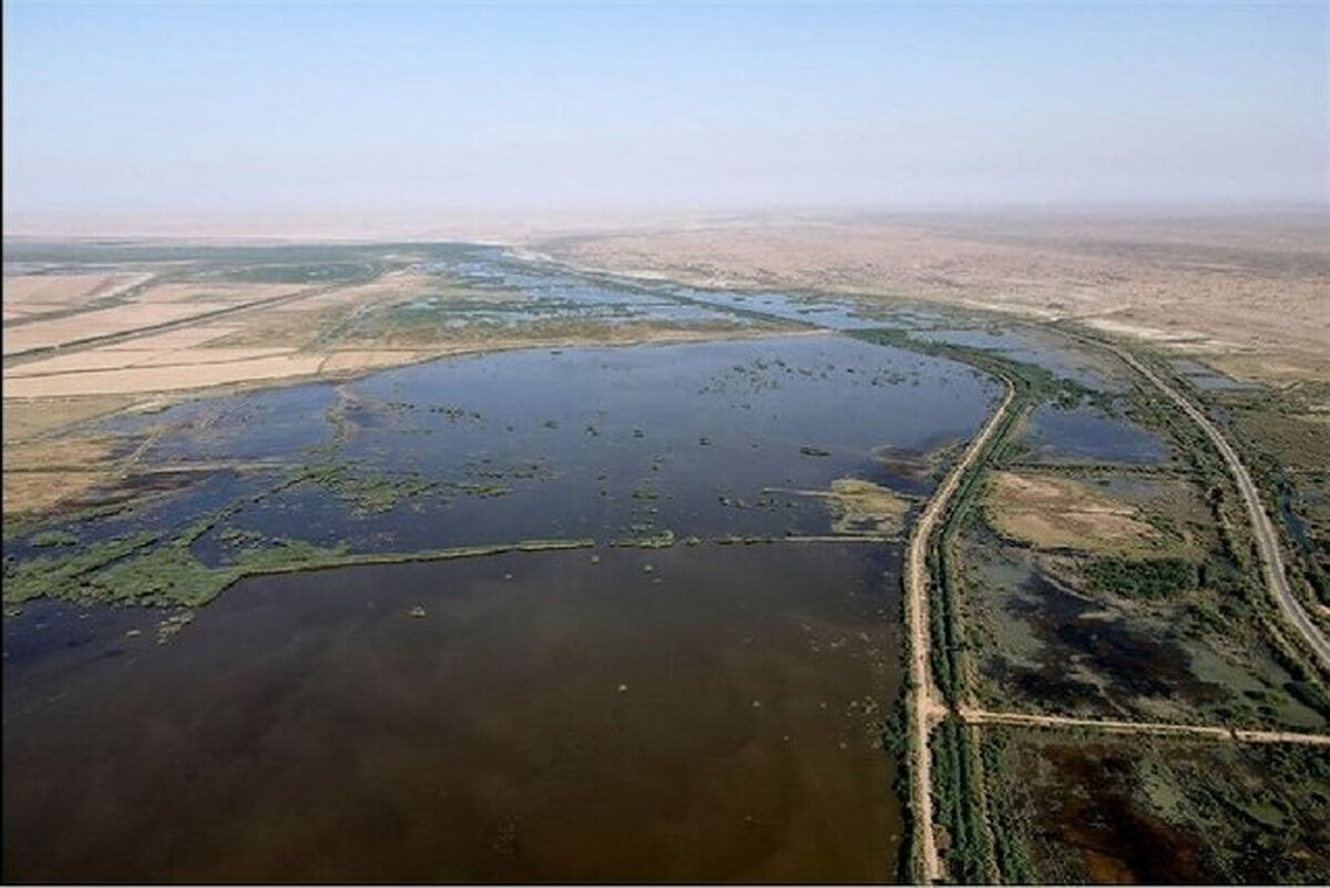 استخراج و اکتشاف نفت در تالاب‌ها بلای جان تالاب‌های خوزستان