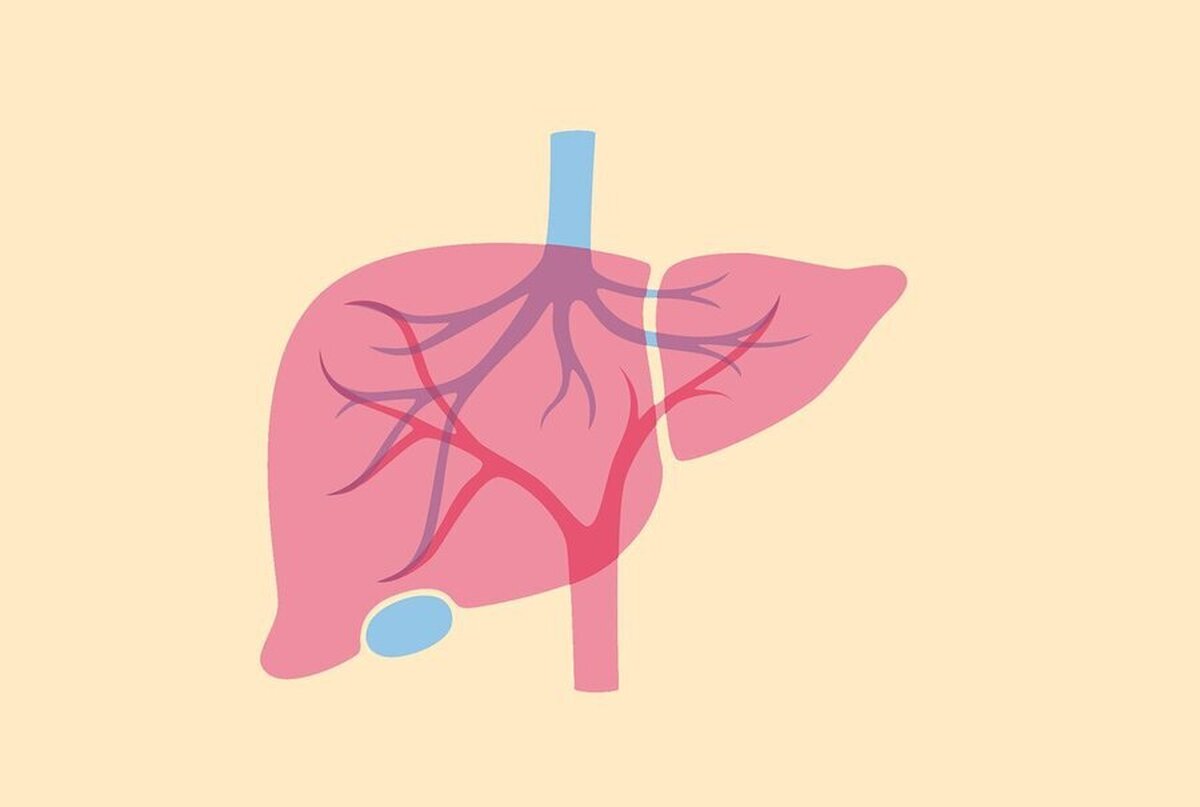 شرایطی که شما را در خطر سرطان کبد قرار می‌دهد