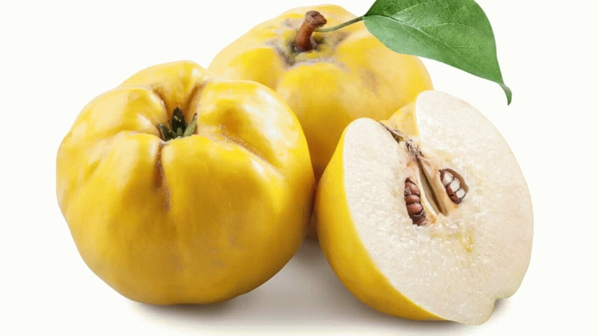 دانه این میوه ضد التهاب و ترمیم کننده زخم است