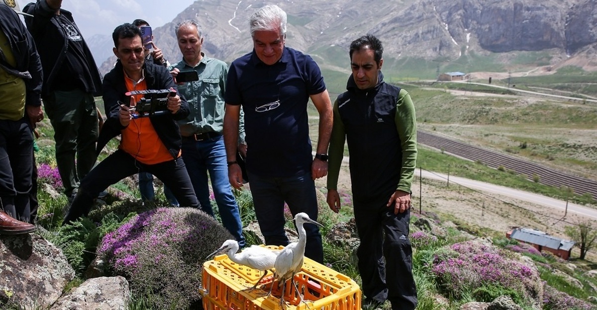 تصاویر| آزاد سازی پرندگان در پارک ملی دشت لار