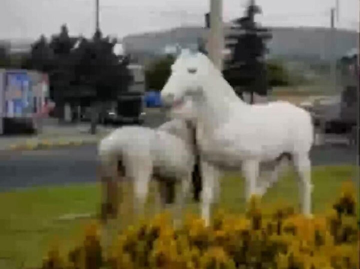 فیلم| واکنش جالب یک اسب پس از مواجه شدن با مجسمه خود