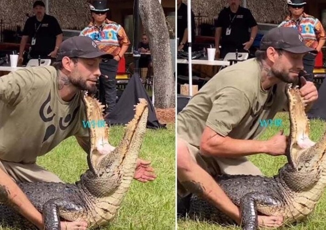 تصاویر| مردی که دست در دهان تمساح گذاشت!