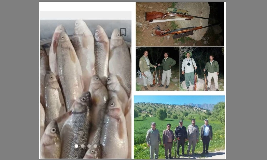 دستگیری 6 متخلف شکار و صید و کشف 3 قبضه اسلحه در لرستان