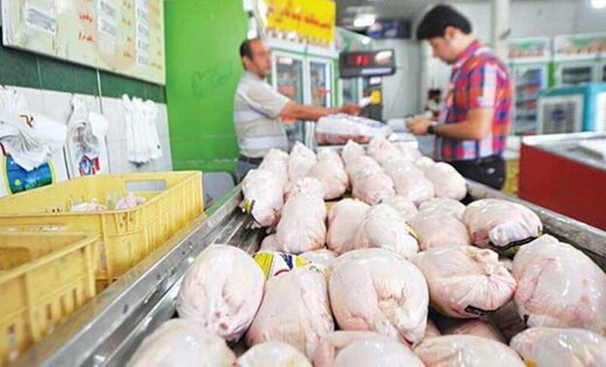 سرانه مصرف مرغ ۶ کیلوگرم کاهش یافت!
