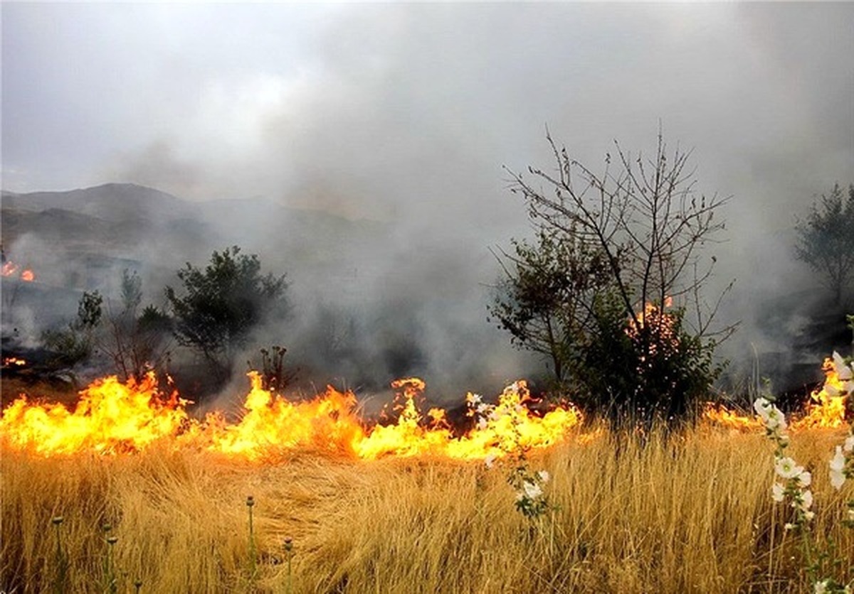 ۲۷ هکتار از مزارع گندم در گیلانغرب در آتش سوخت