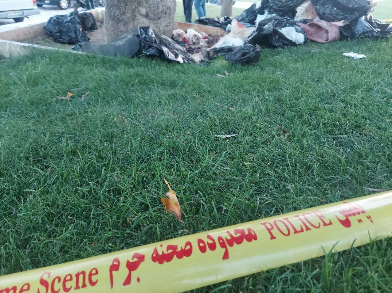 عکس| کشف جسد مثله شده زن جوان در میدان آزادی!