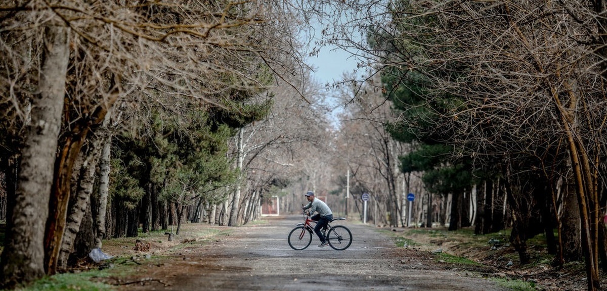 تصاویر| زندگی پس از یک حادثه