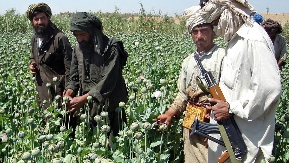 فلاحت‌پیشه: «شاهرگ» ترانزیت موادمخدر طالبان از ایران را بزنید