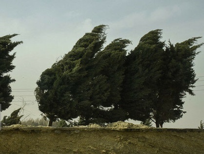 هشدار و آمادهباش مدیریت بحران برای باران و باد شدید در تهران